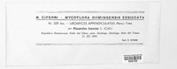 Uromyces appendiculatus image
